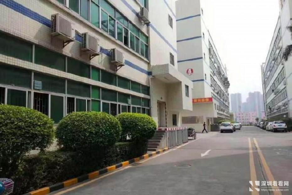 坂田个人红本厂房出租，可分租