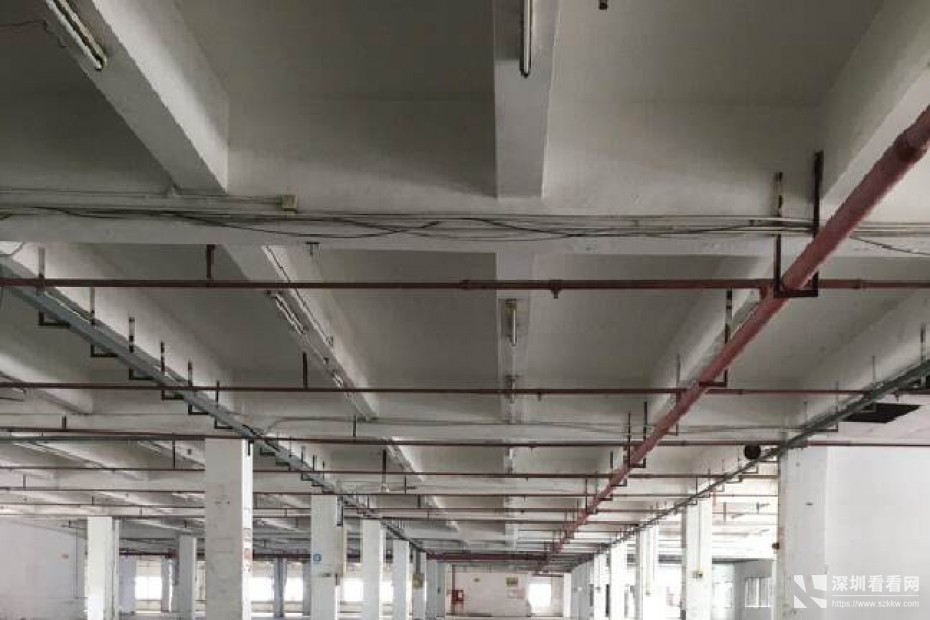 坪山新出楼上仓库、厂房4300平米出租