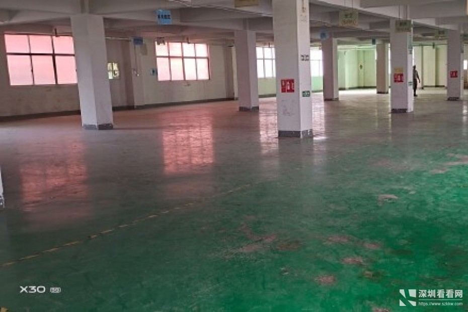 坪山坑梓新出楼上1650平带精装修厂房出租