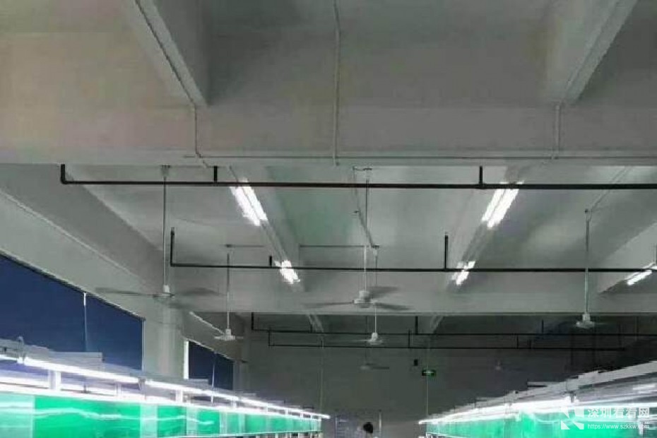 塘坑地铁站附近园区厂房1080平方招租带精装修办公室