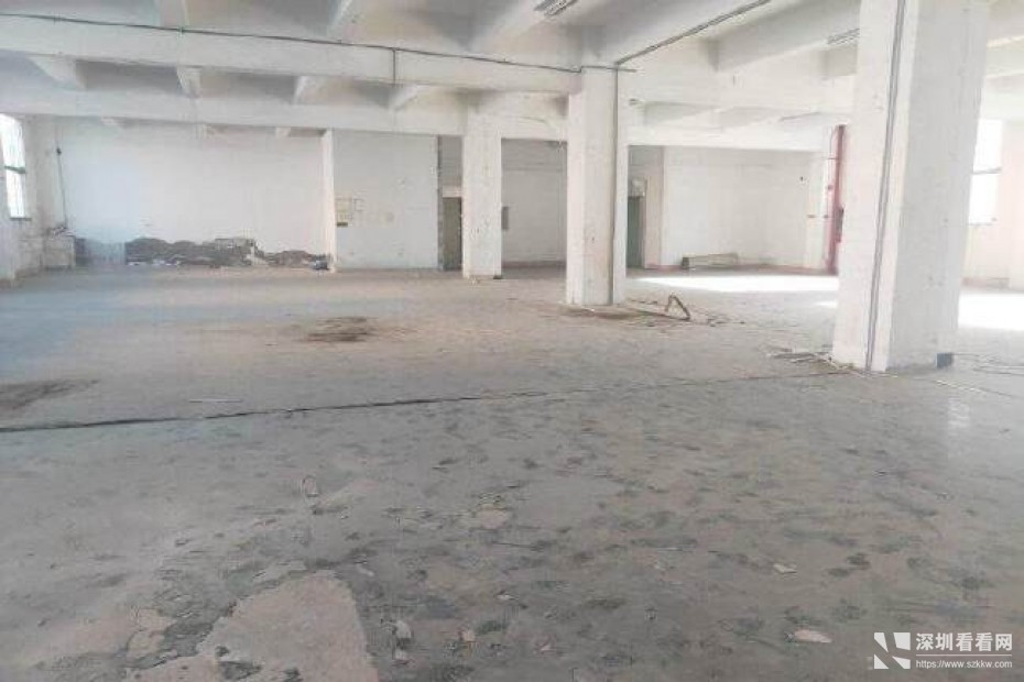 龙岗高速出口附近新出楼上1300平精装修厂房招租~~