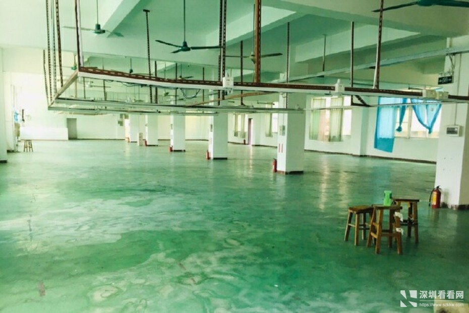 龙岗区横岗花园式精品独院9000平方一部货梯一部观光客梯