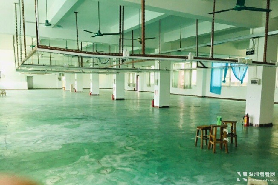 龙岗区横岗花园式精品独院9000平方一部货梯一部观光客梯