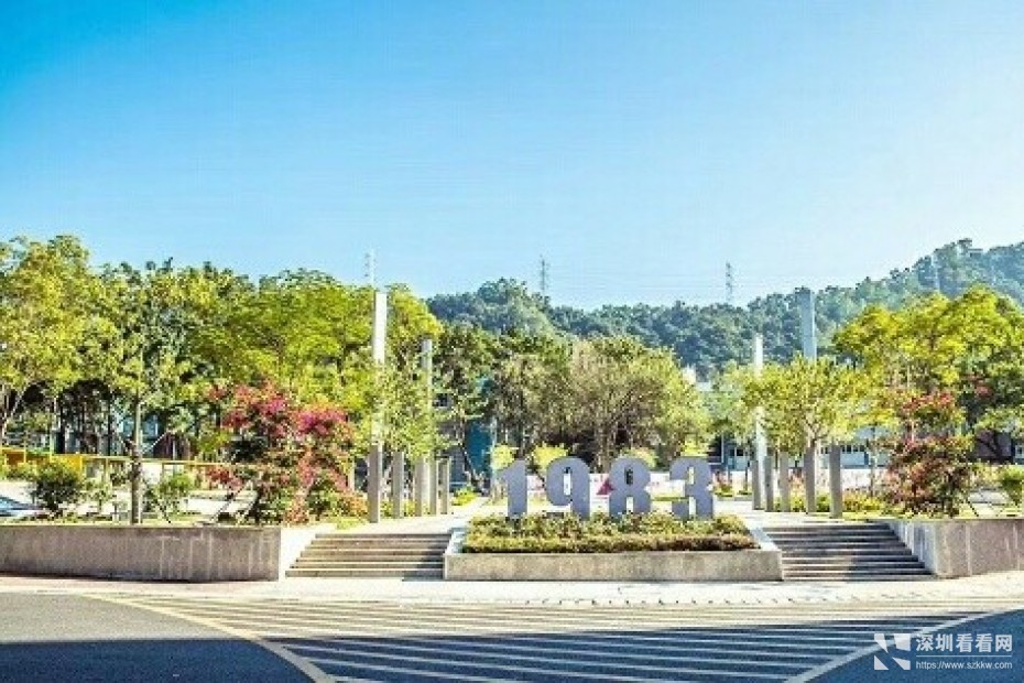 龙岗精装办公室红本租凭 可用于注册公司 申请补贴