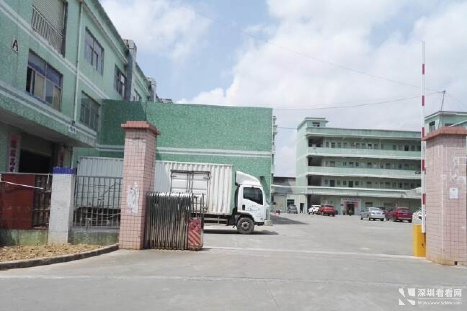 坑梓秀新新出一楼1000平米实际面积厂房出租