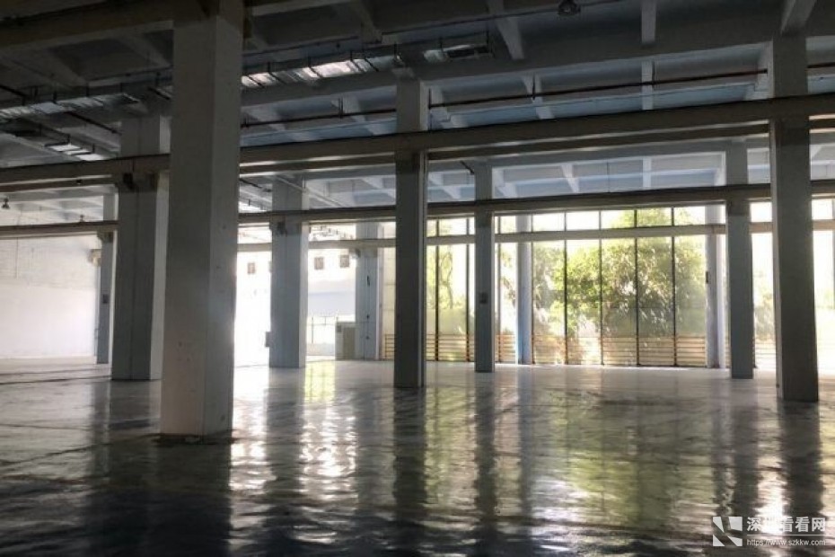 坪山大工业区厂房一楼出租1000平方，可分租可申请补贴