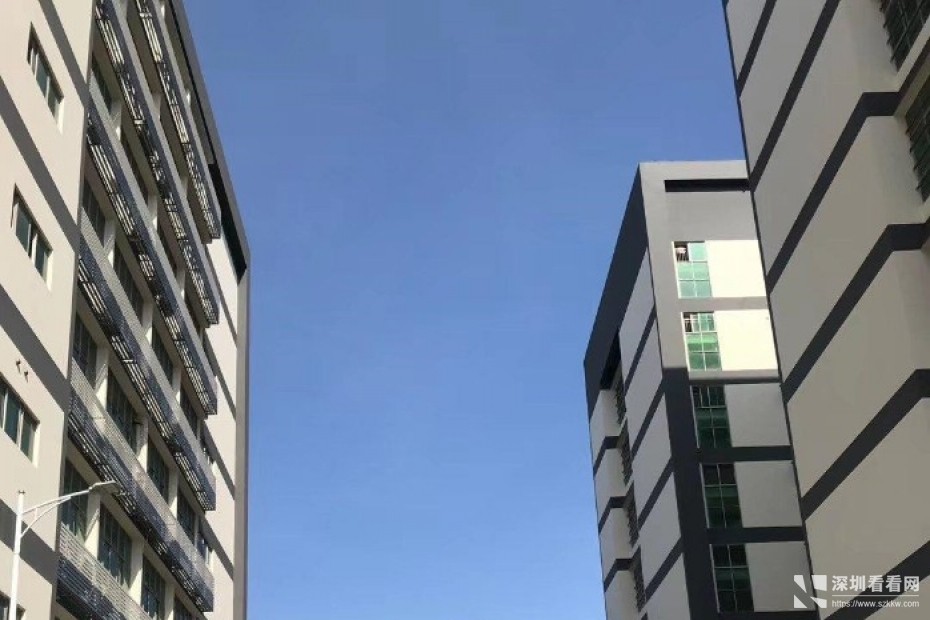 坂田杨美地铁旁红本厂房楼上4000平带装修100平方起租