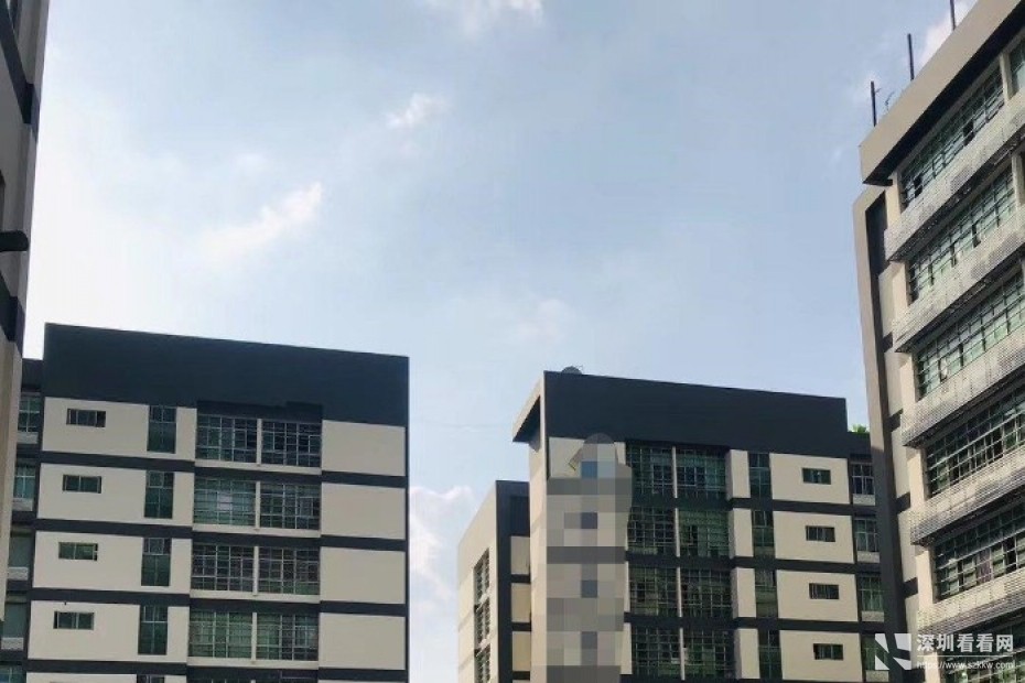 坂田杨美地铁旁红本厂房楼上4000平带装修100平方起租