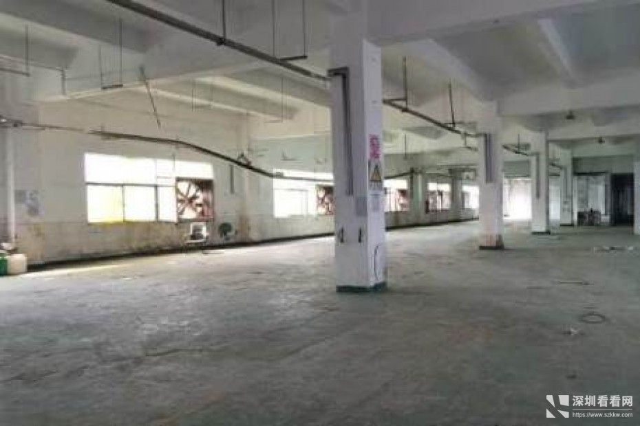 坑梓坪山大道旁，新出一楼厂房1400平，可分租一半