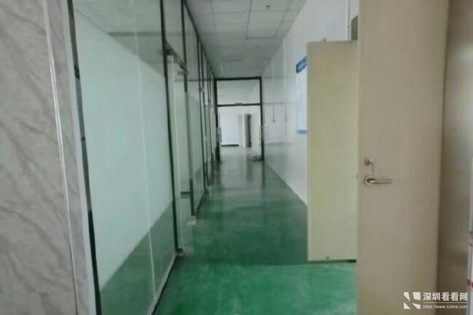 坪山主干道边上1260平出租精装修带办公室前台厂房低价出租