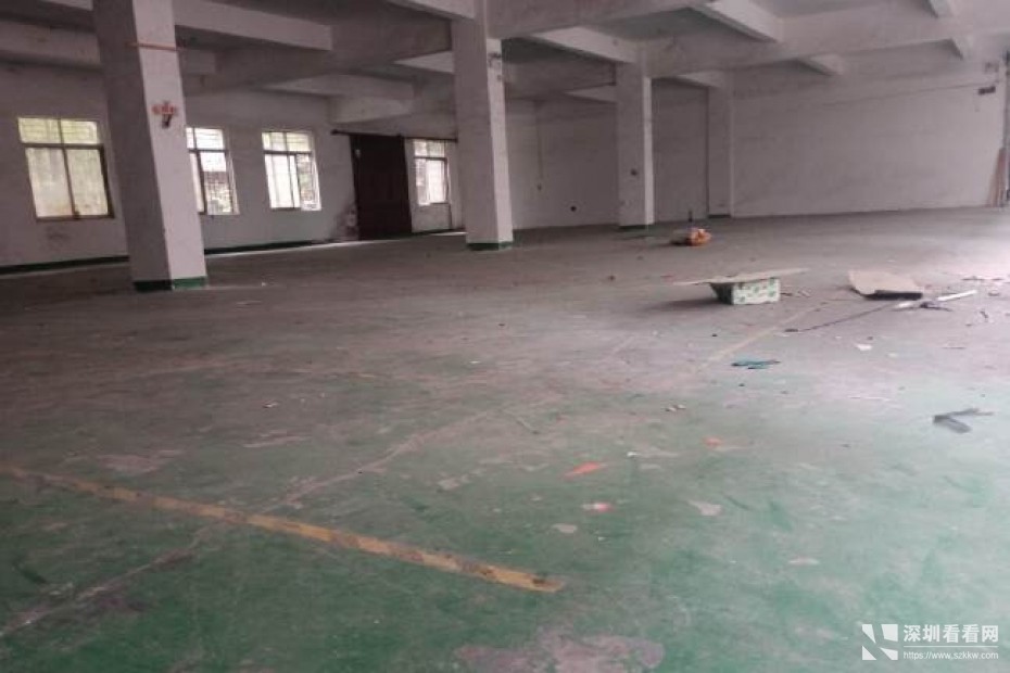 平湖原房东8000平独院出租，空地大