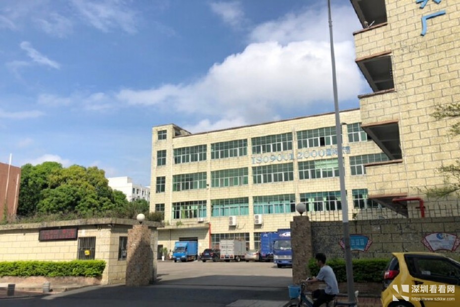 龙岗龙东厂房出租一楼900平方米空地超大厂房形象好层高5.6