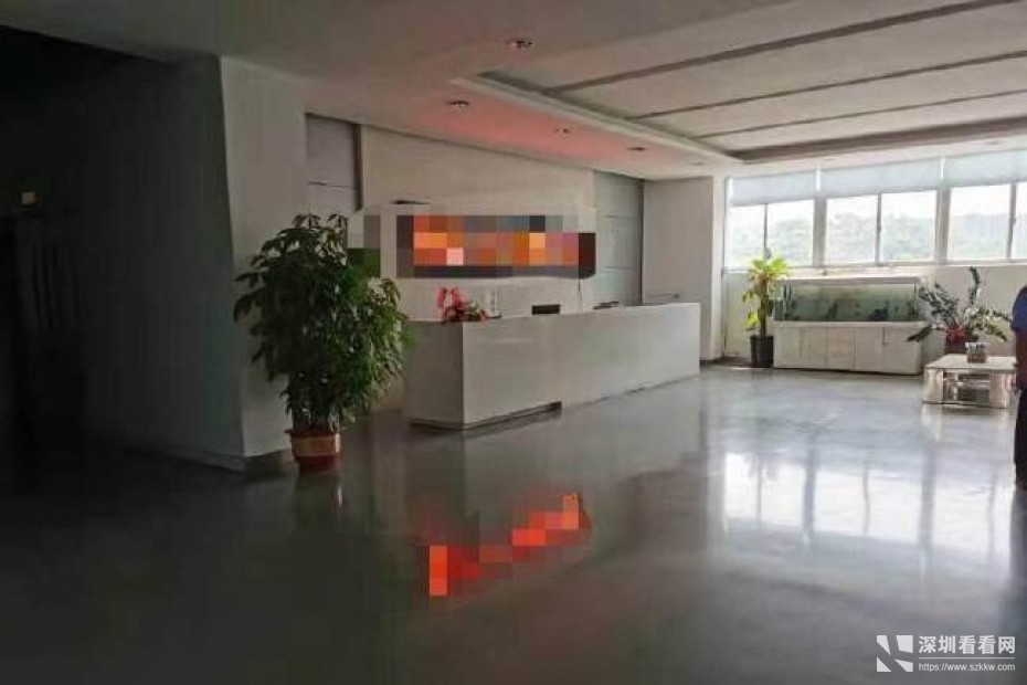 深圳龙岗原房东带红本带精装修厂房出租