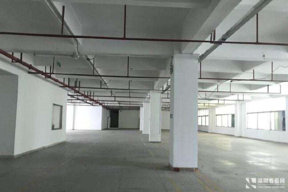 深圳龙岗原房东带红本带精装修厂房出租