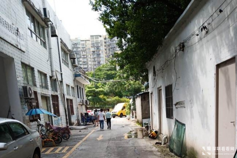 龙岗坂田新空出独拣钢构1200平