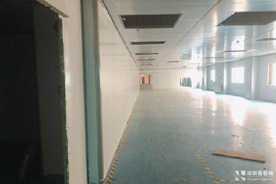 龙岗龙东新出标准厂房一楼1300平