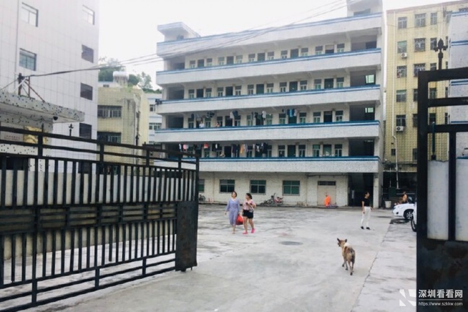 空地2千多平龙岗区横岗5500平米小独院厂房1-4层3200