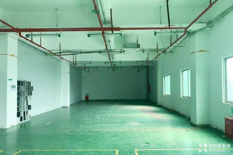 福永大洋田工业园楼上2200平标准厂房出租国道附近绿化率高