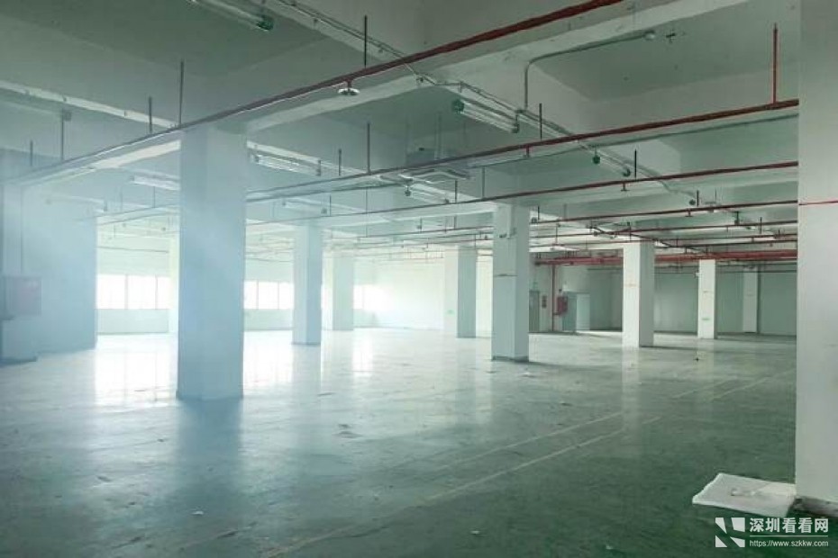 福永大洋田工业园楼上2200平标准厂房出租国道附近绿化率高