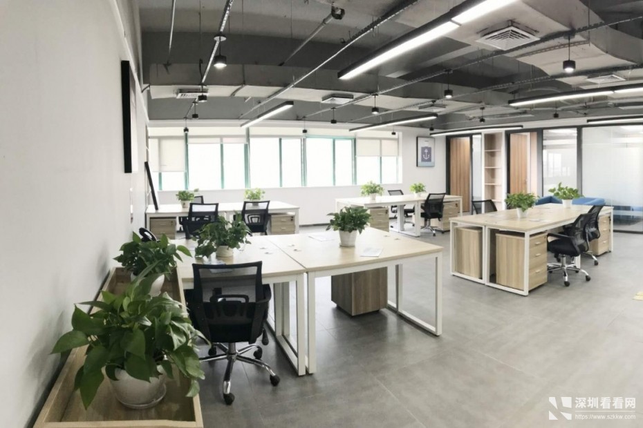 宝安宝立方写字楼精装出租 费用全包 提供租凭合同