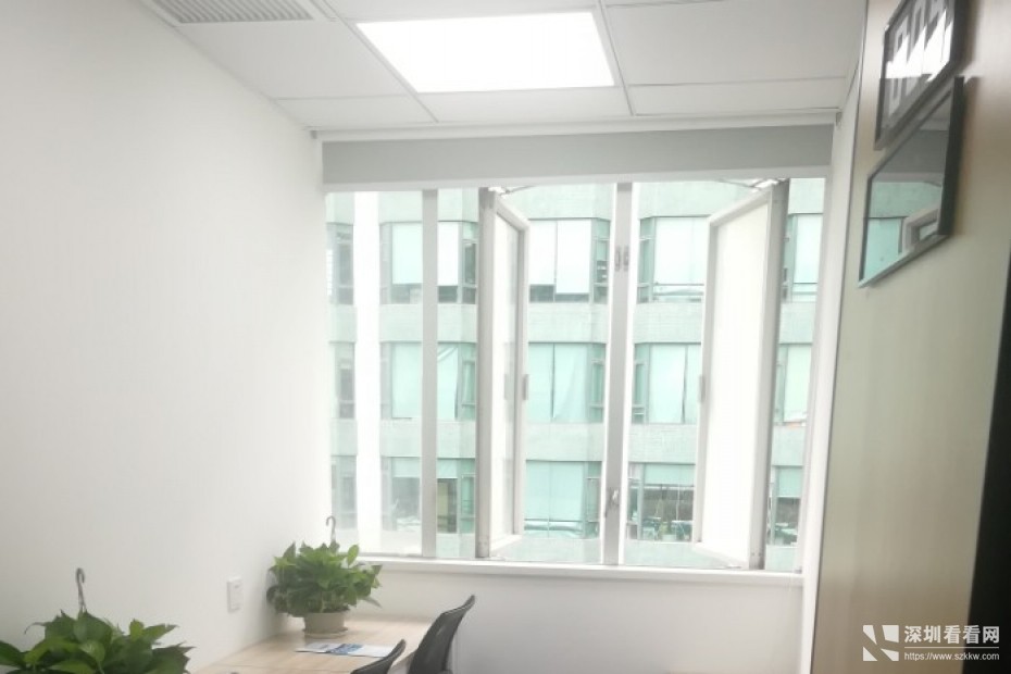 布吉独立小型办公室全新招租 即租即用 费用全包