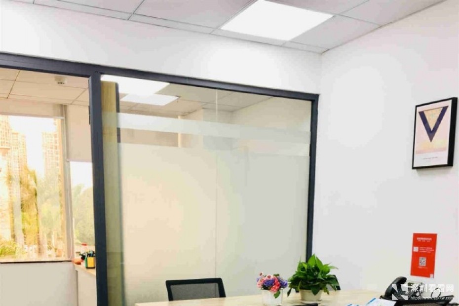 布吉独立小型办公室全新招租 即租即用 费用全包