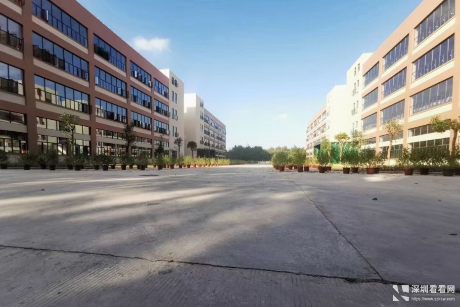 塘厦科苑路产业园出租总面积40000平方米-大小可分租