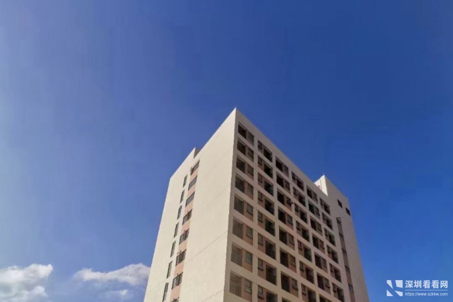 塘厦科苑路产业园出租总面积40000平方米-大小可分租