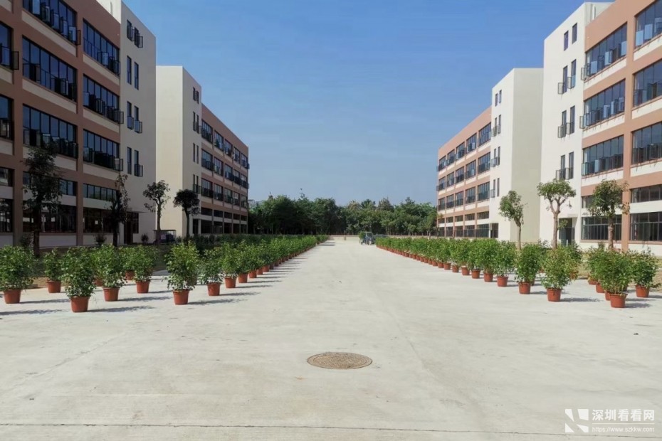 塘厦科苑路产业园出租总面积40000平方米-大小可分租