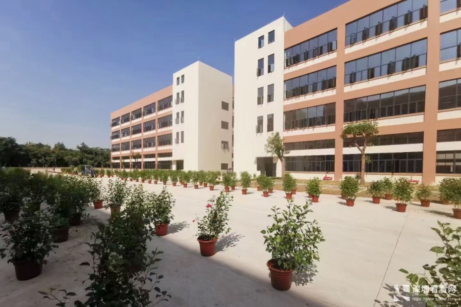 东莞塘厦蛟坪大道沙湖全新产业园招租，总面积43900平方米