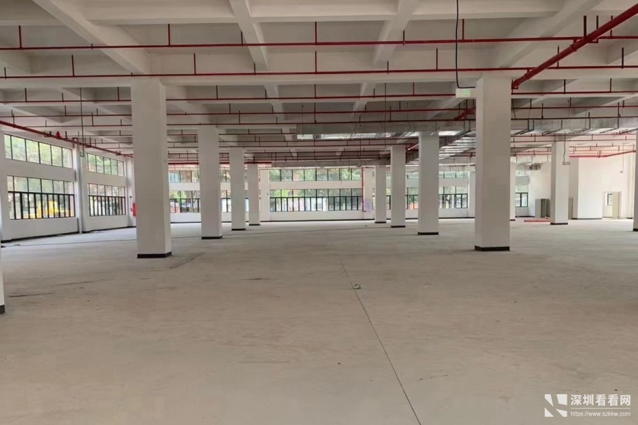 东莞塘厦蛟坪大道沙湖全新产业园招租，总面积43900平方米