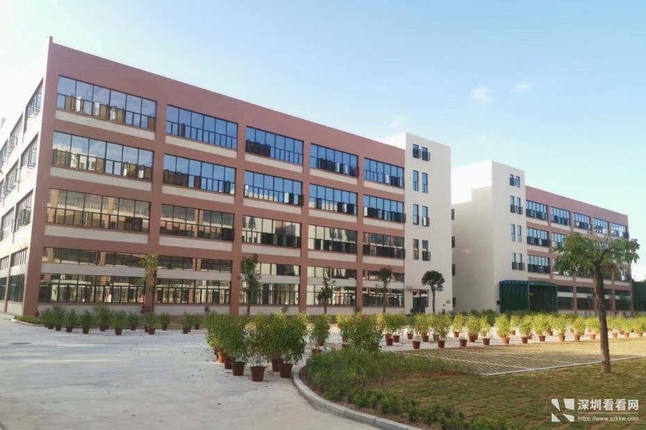 塘厦科苑路全新标准厂房火热招租，交通方便，临近观澜