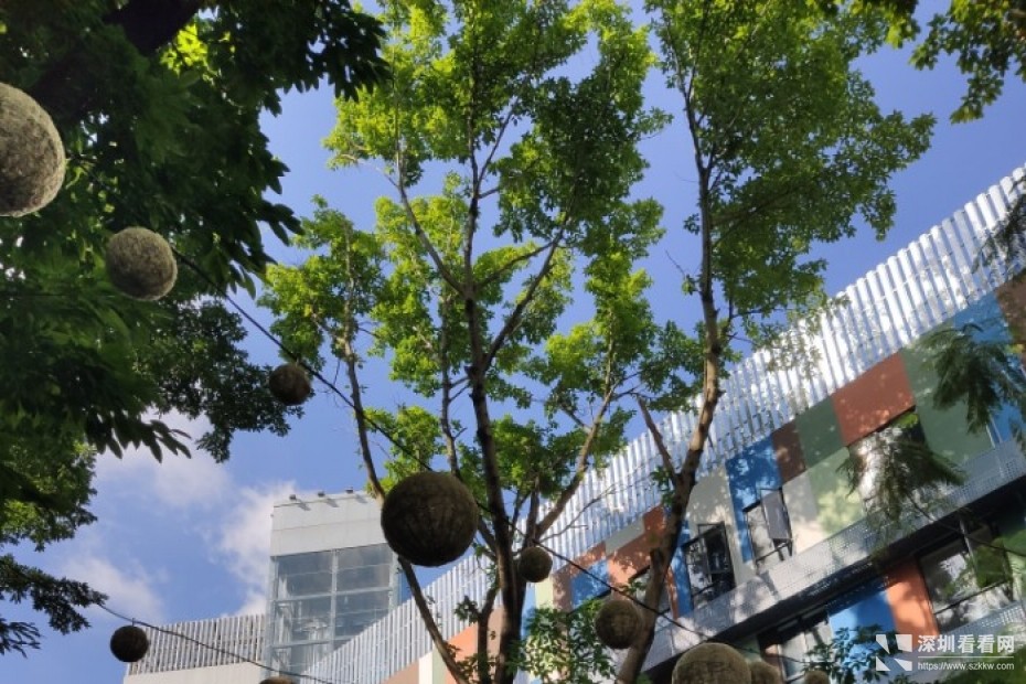新空出布吉地铁口200平精装修1商业综合‌‌体