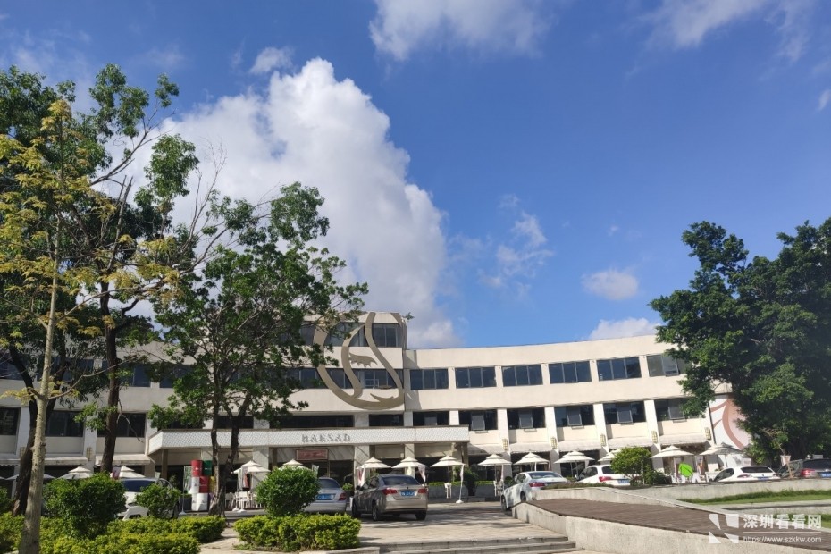 精装布吉政府补贴10万元全包价办公室出租一手房源