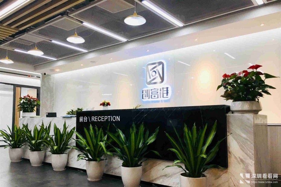 布吉免租两个月!配合银行开户检查创业型中小办公室物业出租
