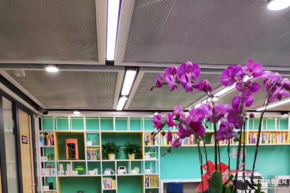 业主直租布吉龙岗办公室出租环境舒适费用全包