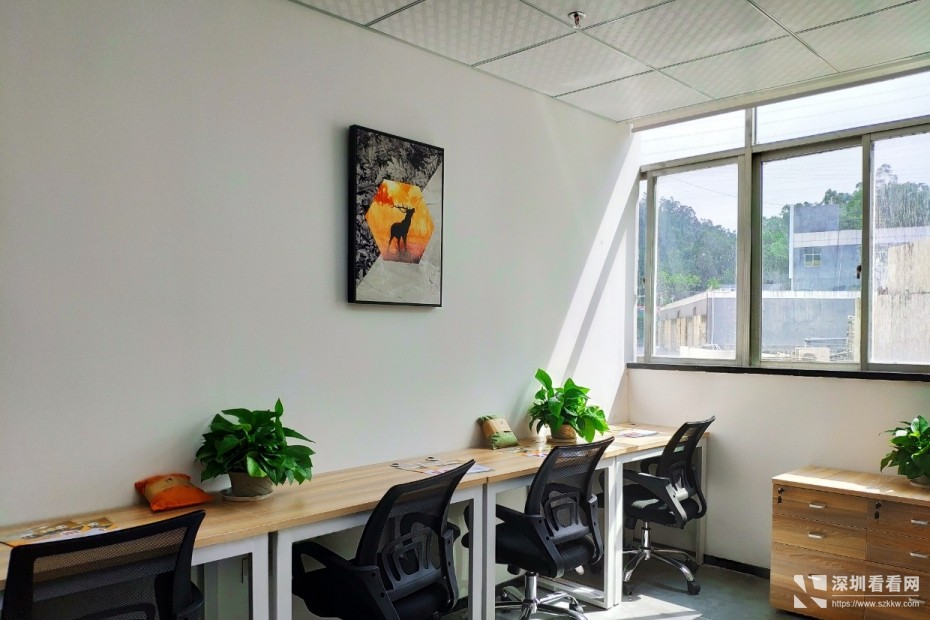 靠窗龙岗布吉3-6人办公室出租送免租期