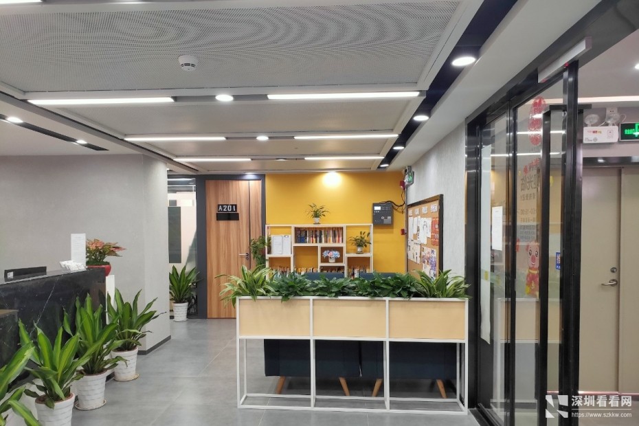 龙岗区布吉精装修3人间办公室一对一红本地址