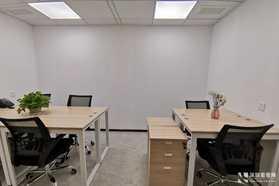 平湖联合办公空间带租赁红本可注册配合开户勘验