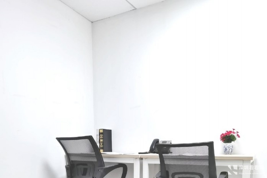 罗湖东门华佳广场10平起全精装办公室出租