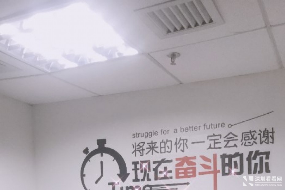 罗湖东门华佳广场10平起全精装办公室出租