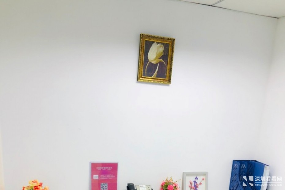 湖贝东门双地铁可注册内外资企业费用全包