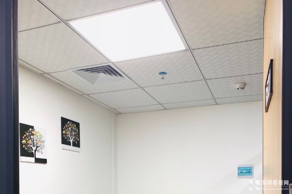 龙岗中心区写字楼1至20人办公室出租可注册