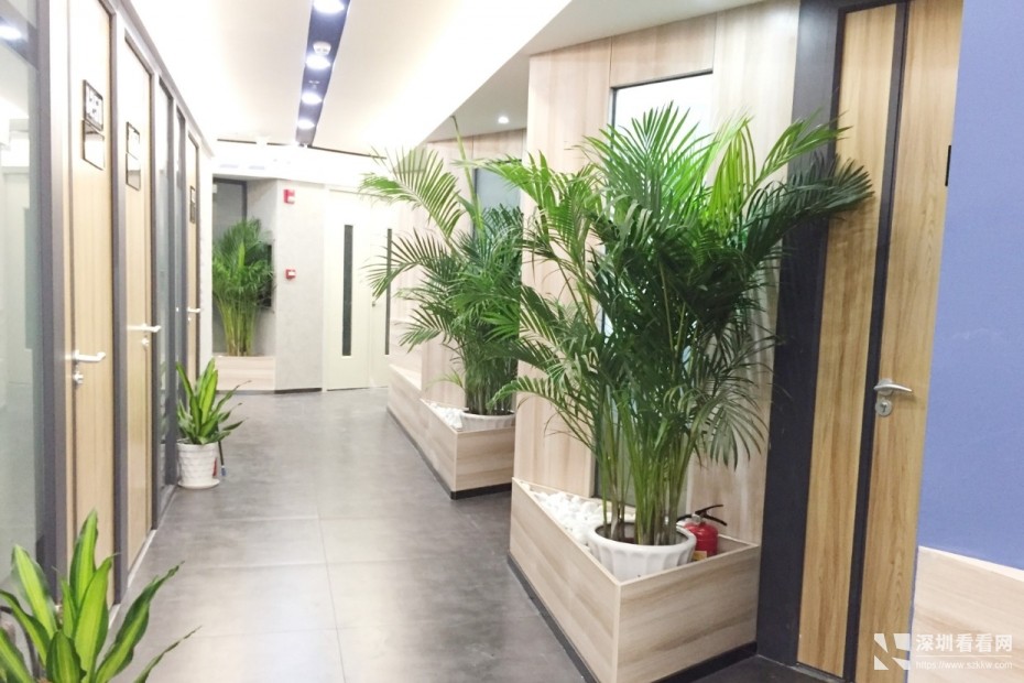 千元租办公室赠执照注册地址费用全包联合办公