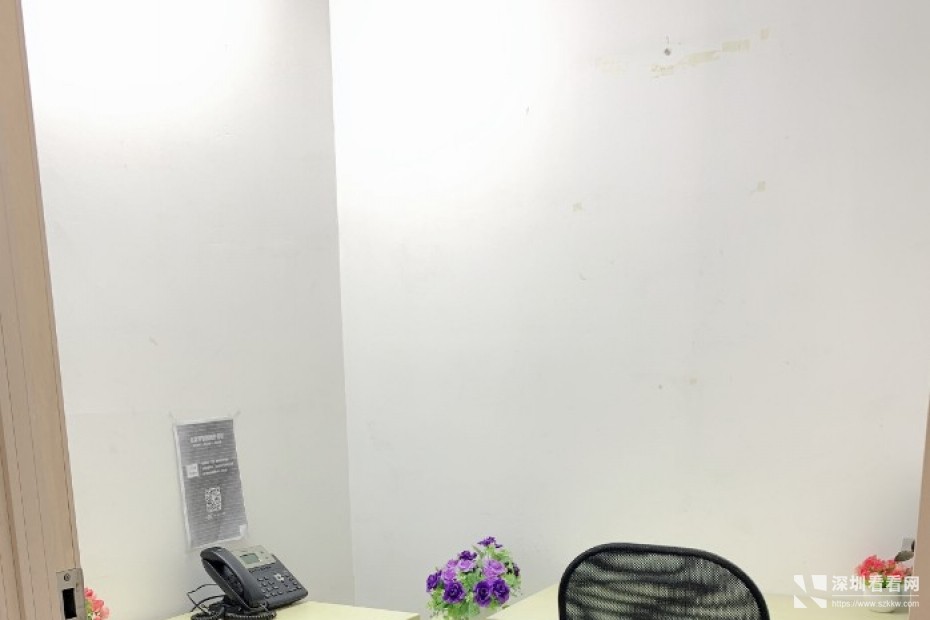 华强北上海宾馆对面雷圳大厦小型办公室出租费用全包式