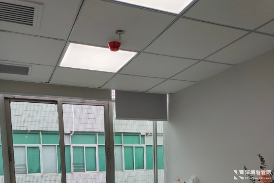 地王大厦创业办公室出租红本