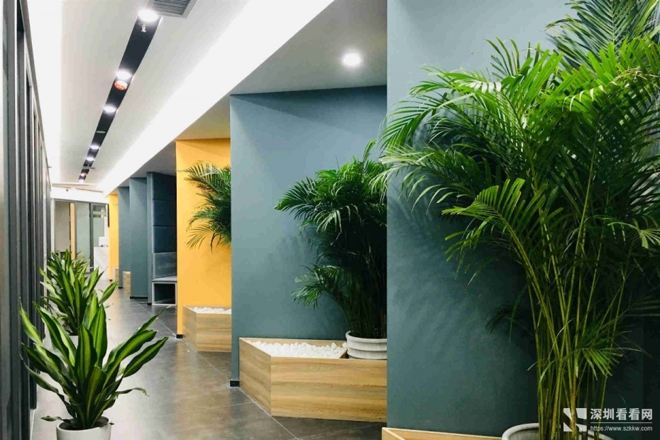 1-2人间小型办公室出租1080—1180元费用全包