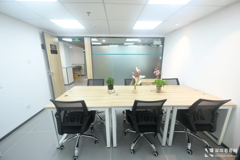 布吉独立小型办公室全新招租即租即用费用全包