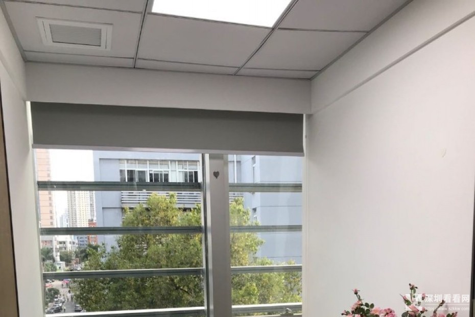 创业分公司办事处优选罗湖双地铁口独立办公室直租