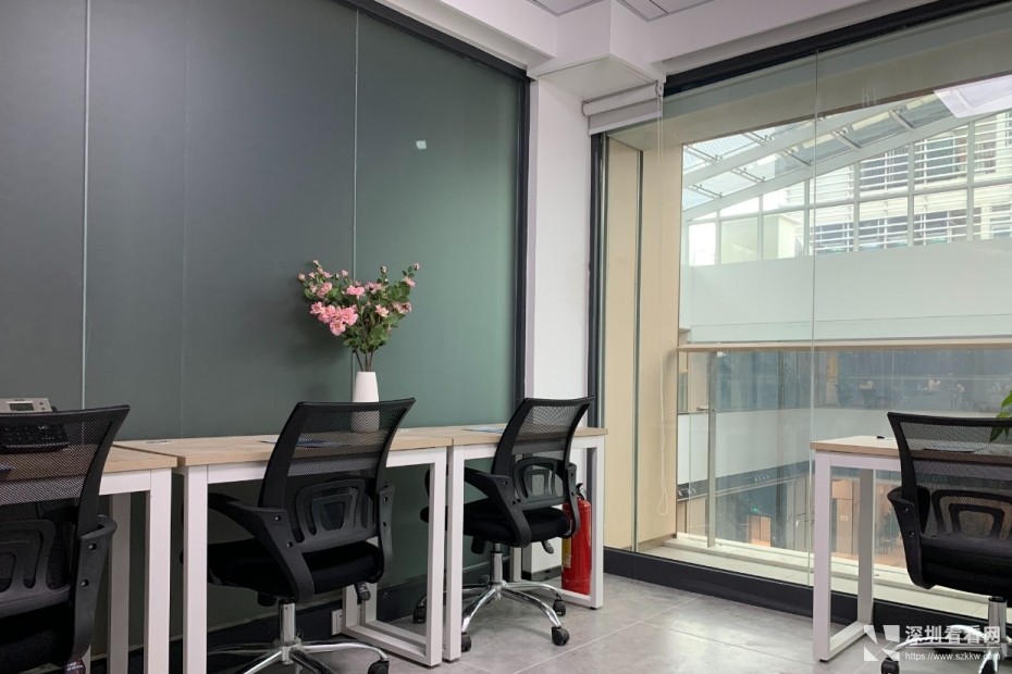 创业分公司办事处优选罗湖双地铁口独立办公室直租
